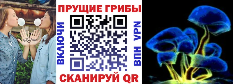 Псилоцибиновые грибы прущие грибы Суздаль